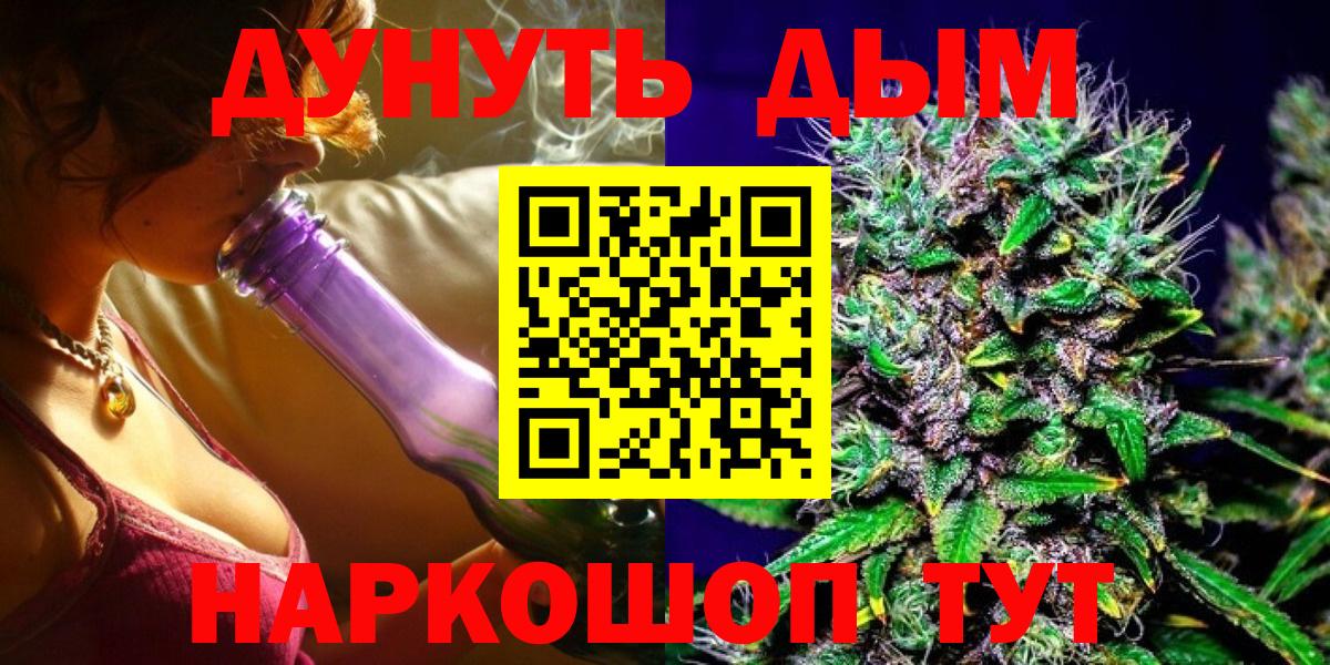 Бошки Шишки план Томск